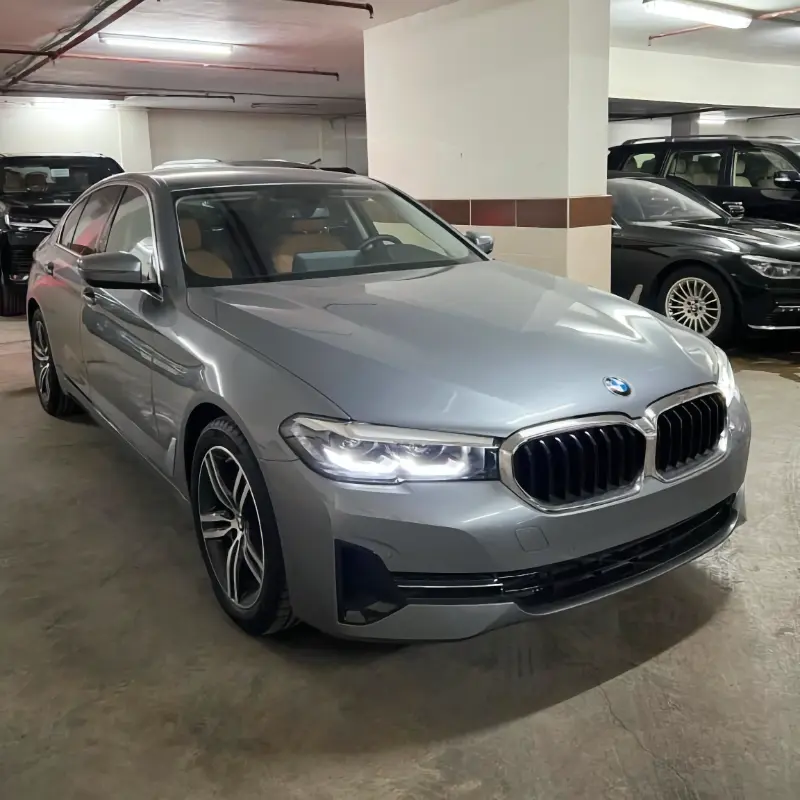 BMW 520 i 2010